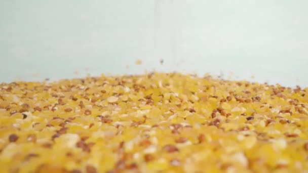 Maíz y semillas de chía mezclan verter sobre la superficie blanca del estudio — Vídeos de Stock