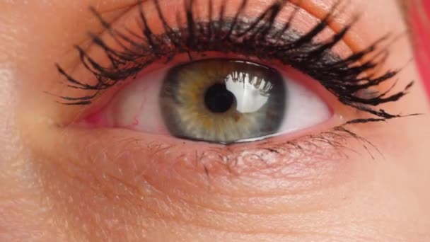 Brown-eyed woman with bright eye makeup blinks macro — Stock Video