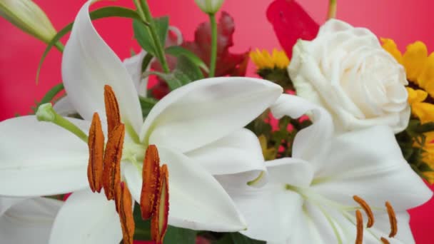 Ramo de flores con lirios blancos y rosa en macro estudio — Vídeo de stock