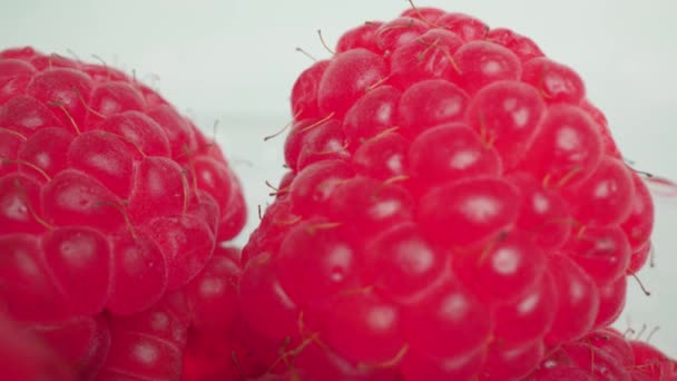 Raspberries in container against white studio wall macro — Stock Video