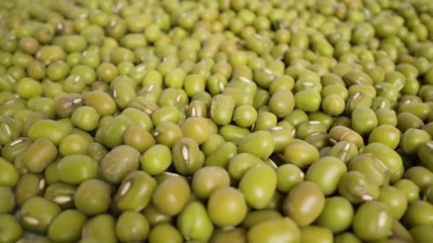 Huge pile of harvested green peas at bright light macro — Stock Video