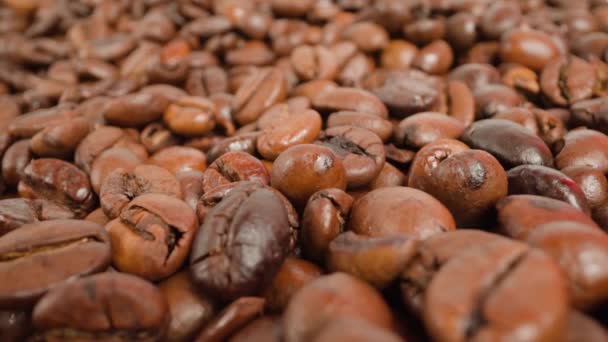 Stor haug med kaffebønner som skinner i et lyst studio – stockvideo