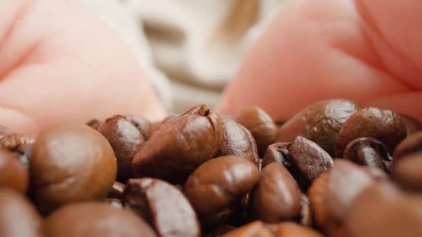 Kvinna håller en handfull bruna rostade kaffebönor makro — Stockvideo