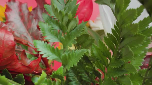 Czerwone i zielone liście na tle kwiatów i różowej ściany — Wideo stockowe
