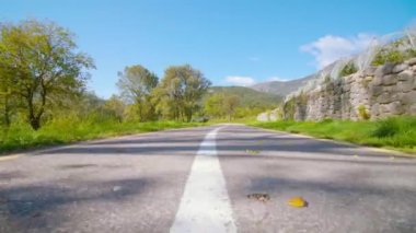 Çitin arkasındaki fidanlıkta büyüyen elma ağaçları boyunca yol.