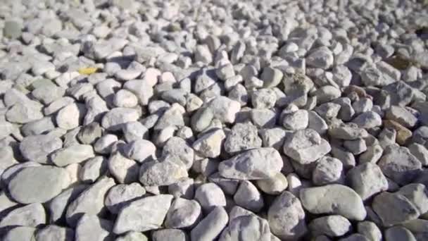Heap of grey pebble stones lying on road as background — Stock Video
