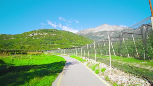 Elma tarlasının etrafındaki yollar metal çitlerin ötesinden geçiyor. — Stok video