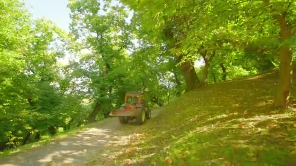 Traktor kör längs gränden mellan höga kastanjeträd — Stockvideo
