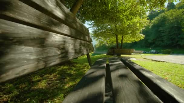 ロベルトにつながる道路の近くの木の木陰のベンチ — ストック動画