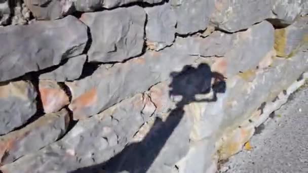 Оператор переміщує камеру на тринозі, знімаючи кам'яну стіну паркану — стокове відео