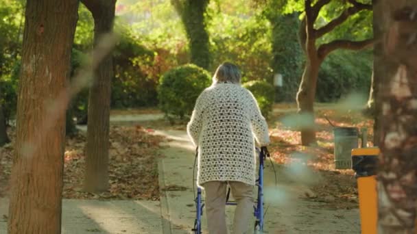 老太婆在树阴下散步，在公园里用摇椅 — 图库视频影像