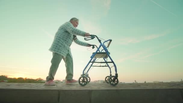 Velha senhora caminha pela lagoa usando cadeira de rodas contra a cidade — Vídeo de Stock