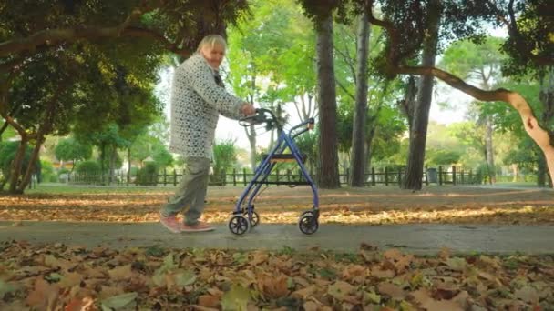 Paseos de la abuela con marco para caminar a lo largo de la carretera del parque — Vídeos de Stock
