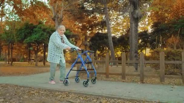 Grand-mère marche près de la clôture en utilisant fauteuil roulant-rouleau — Video