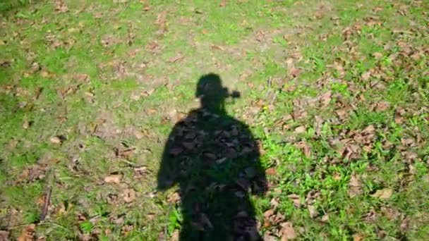 Тень оператора перемещает камеру удерживая штатив на траве — стоковое видео