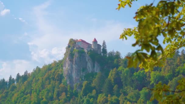 緑豊かな木々に囲まれた崖の上に建てられた城 — ストック動画