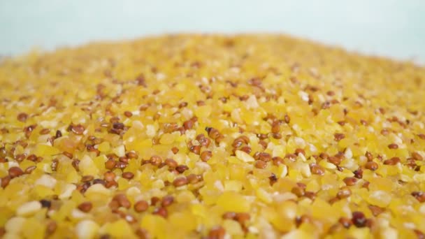 Mezcla de granos de maíz y chía en la superficie del estudio blanco — Vídeo de stock
