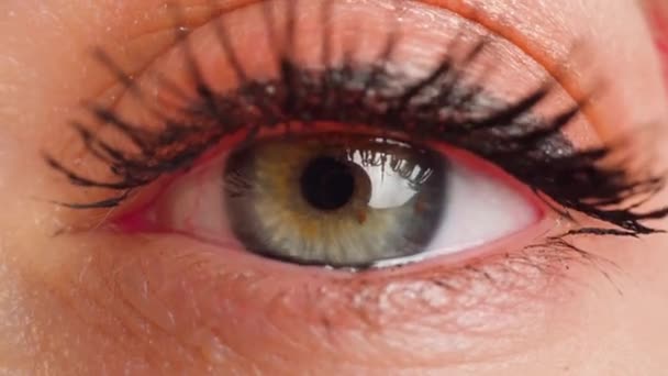 Hazel-eyed woman with eye makeup looks into camera macro — Stock Video