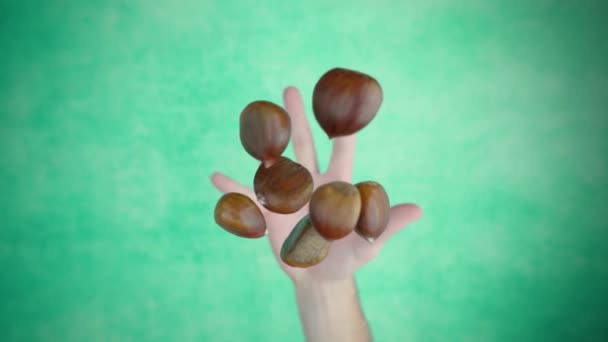 Hand wirft eine Handvoll Kastanien über grüne Fläche — Stockvideo