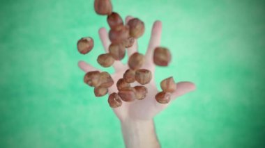 El stüdyo arka planında bir avuç dolusu kestane kusar.