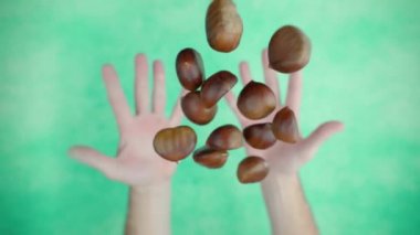 Yeşil arka plan üzerine bir avuç dolusu kestane fırlatıyor.