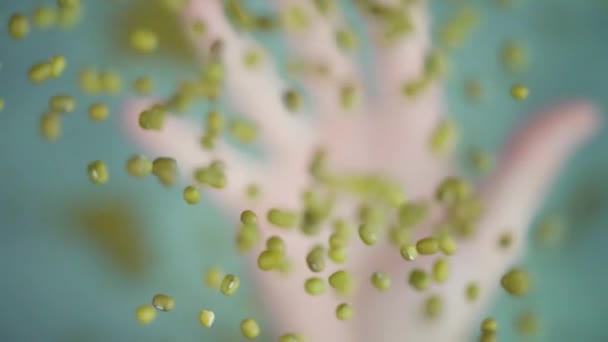 Рука бросает вверх кучу зеленых бобов рушится над столом — стоковое видео