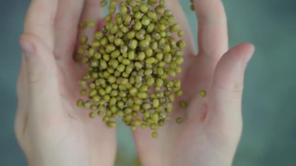 Hand wirft eine Handvoll grüne Bohnen über den Tisch — Stockvideo