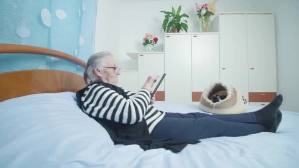 Mulher velha verifica as mídias sociais via tablet deitado perto do gatinho — Vídeo de Stock