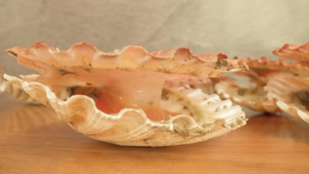 Live sea scallops lying in bright studio with muscles opened — Vídeo de Stock