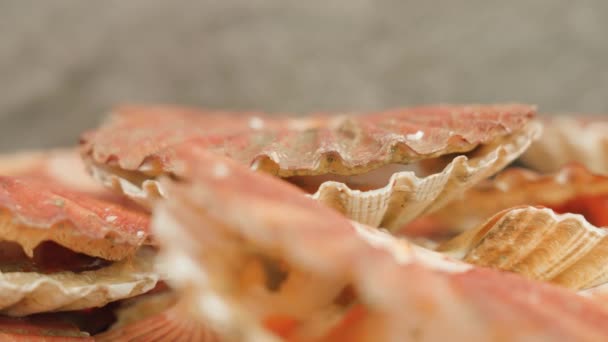 Kagylók nyitott és szoros izom feküdt halom az asztalon — Stock videók