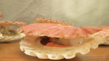 Bivalf yumuşakçaları aniden kırmızı kabuğu kapatır ve masada yatar.