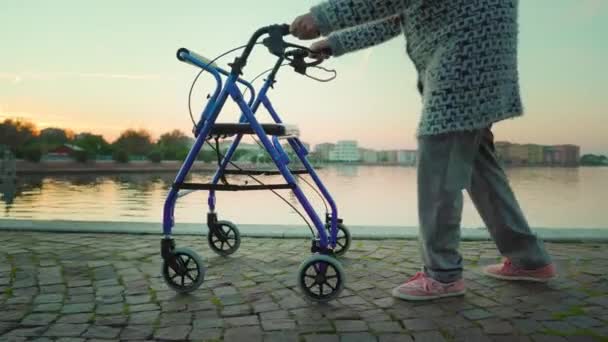 Oude vrouw wandelingen in de buurt van Venetië lagune met rolstoel in de schemering — Stockvideo