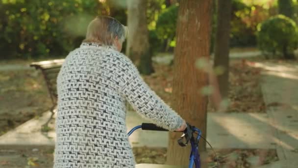 Abuela de pelo gris pasea usando rodillos en el parque — Vídeos de Stock