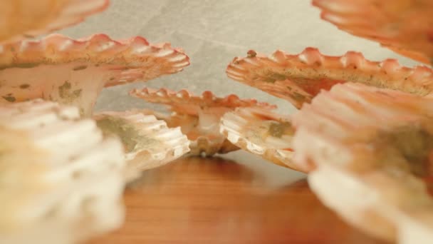 Scarlet muscles of live sea scallops lying in bright studio — Stock Video