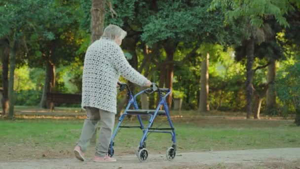 Grey-haired woman walks along park road with wheelchair — 图库视频影像