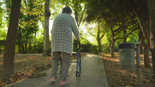 Η γριά περπατάει στο πάρκο με αναπηρικό καροτσάκι. — Αρχείο Βίντεο