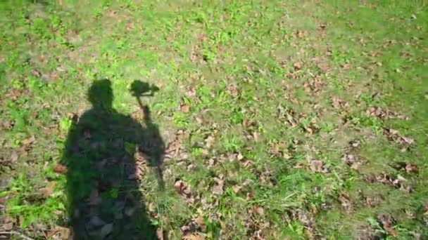 Shadow of operator moving camera and filming grass — 图库视频影像