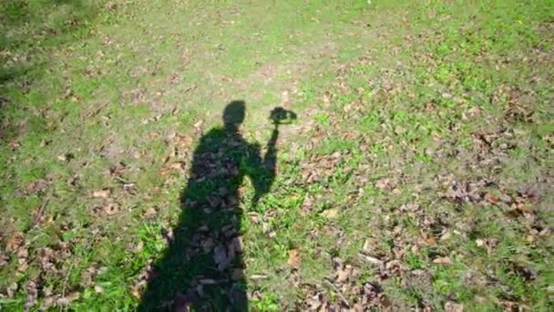 Man operator shadow moving camera on folded tripod on grass — Stock Video
