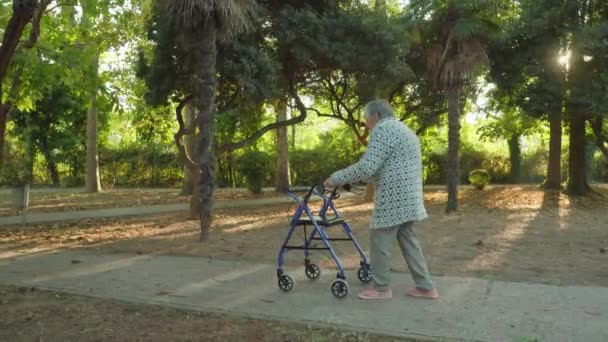 Grijsharige vrouw loopt langs de weg van het park met rollator — Stockvideo
