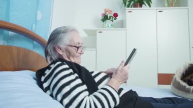 Gri saçlı kadın kedi yakınlarındaki sosyal medyada geziniyor.