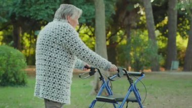 Yaşlı gri saçlı kadın rollatör kullanarak parkta dolaşıyor.