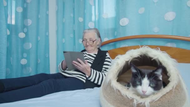 Женщина с седыми волосами держит планшет лежащий на кровати возле котенка — стоковое видео