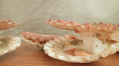 Benekli pembe kabuklu deniz tarakları ve kabuğu açık.