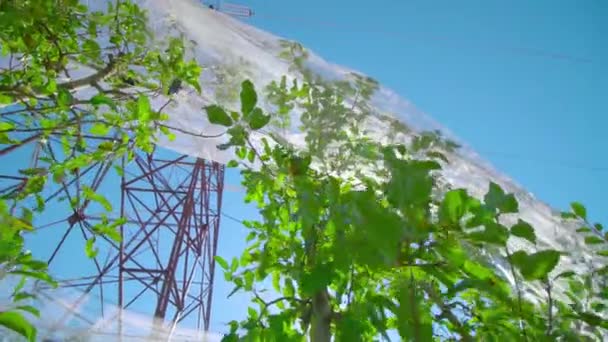 Яблуні ростуть під сіткою проти лінії електропередач на сонячному світлі — стокове відео