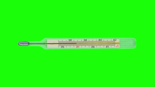 Thermometer bepaalt lichaamstemperatuur op groene achtergrond — Stockvideo