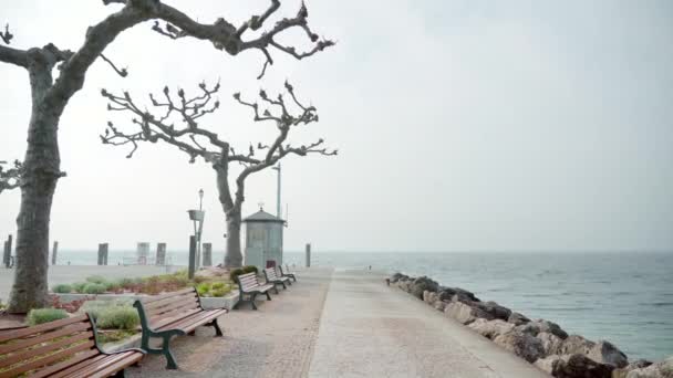 曇りの秋の日にガルダ湖の近くの木製のベンチや裸の木と堤防 観光イタリアの都市ペスキエーラ ガルダの早朝 — ストック動画