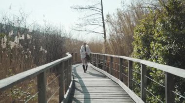 Kadın turist, güneşli sonbahar havasında kuru kamış ve gür ağaçların yanında tahta yaya köprüsünde yürüyor. Şık giyinmiş genç bayan vahşi doğanın tadını çıkarıyor.