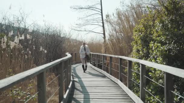 Woman Tourist Walks Wooden Footbridge Dry Reed Lush Trees Sunny — Vídeos de Stock