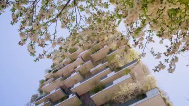 MILAN, İtalya - 10 Nisan 2022: Milano 'da ilkbahar günü mavi gökyüzünün altında dikey bir ormanın altında kiraz ağacı dalları çiçek açtı. Balkonlarda tesisleri olan gökdelen 10 Nisan 'da Milano' da alçak açılı çekim