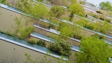 MILAN, İtalya - 10 Nisan 2022: yemyeşil ağaçlar ve çalılar mavi gökyüzüne karşı yükselen kulelerin balkonlarında yetişir. Milan 'daki modern dikey orman 10 Nisan' da Milan 'da alçak açılı çekim yaptı.